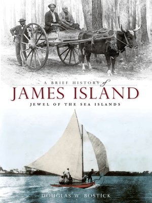 cover image of A Brief History of James Island